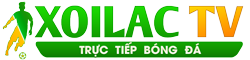 lịch sử đấu liên minh